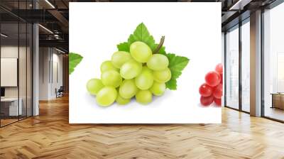 Different wine grapes. Green grapes, black and red pink muscatel grape banches 3d vector icon set Wall mural