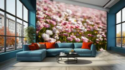 soft gentle flowers field glate sun bloom spring nature  Wall mural