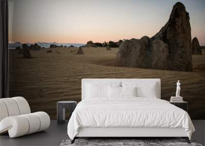 The desert Wall mural