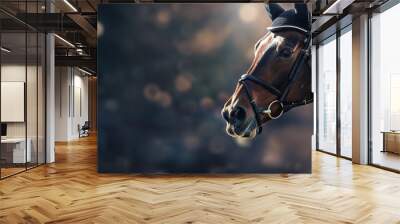 Close-up shot of a rider on a bay horse in the saddle, Equestrian sports, Horse riding Wall mural