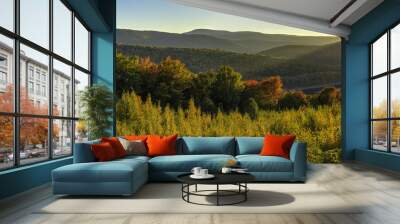 Catskills Reservoir Autumn Sunset Panorama Wall mural