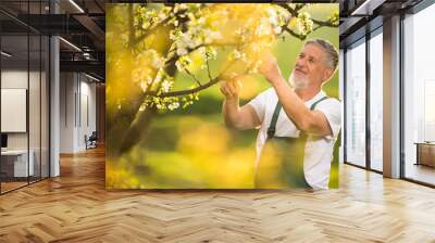 Portrait of senior man gardening, taking care of his lovely orchard, ejoying actively his retirement Wall mural