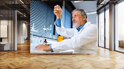 Senior male researcher carrying out scientific research in a lab Wall mural