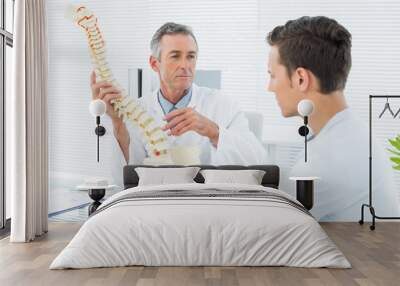 Doctor explaining spine to a patient in office Wall mural