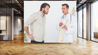 Male doctor explaining the spine to a patient Wall mural