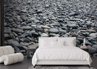 Gray round stones on the beach, pebble beach background Wall mural