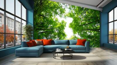 View on top of trees Wall mural