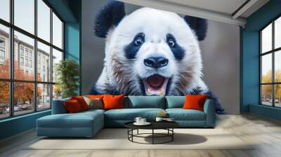 Closeup portrait of a cute and fluffy giant panda bear with a surprised  amazed and impressed facial expression on a random studio background Wall mural