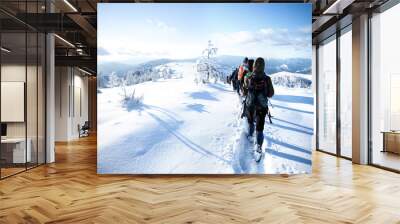 Group of winter hikers Wall mural