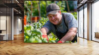 Young adult with Down syndrome participating in a community gardening project. Learning Disability Wall mural