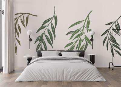 Illustration of willow branch. Set of branches with leaves. Contour vector illustration. Wall mural