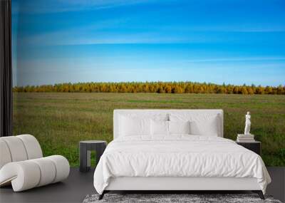 Autumn forest. Horizon. Natural background. A field overgrown with grass. Wall mural