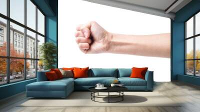 Asian female hand clenching fist gesture concept illustration Wall mural