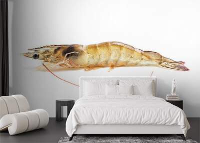 Fresh live shrimp on white background Wall mural