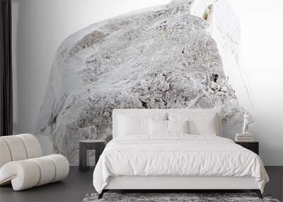 Quicklime on white background Wall mural