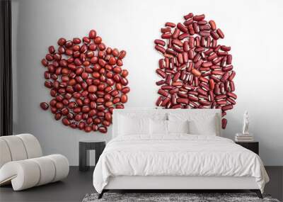 Red bean and red bean contrast chart / round red beans and oval red beans Wall mural