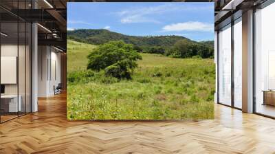 landscape with green forest and mountains, Brazilian Northeast, Araruna, Pb, Paraíba, Brazil, brazilian trails, travels in brazil, northeastern brazil, natural landscapes Wall mural