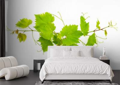 banch of vine leaves isolated on white Wall mural