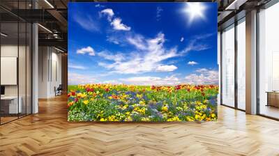 beautiful flowers meadow and cloudy blue sky Wall mural