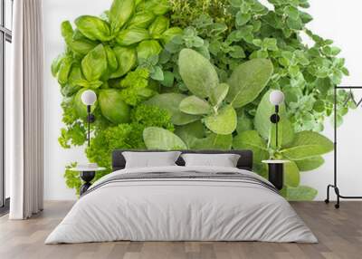 fresh herbs basil, marjoram, parsley, rosemary, thyme, sage Wall mural