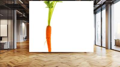 fresh single carrot isolated on white Wall mural