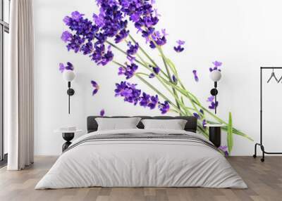 lavender flowers isolated on white Wall mural