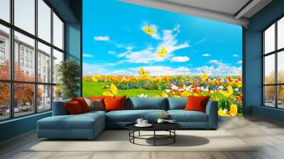 tulip flowers in green grass. sunny blue sky Wall mural