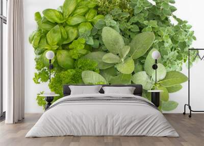 variety fresh herbs isolated on white Wall mural