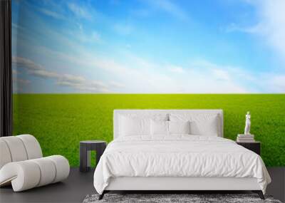 green grass and blue sky Wall mural