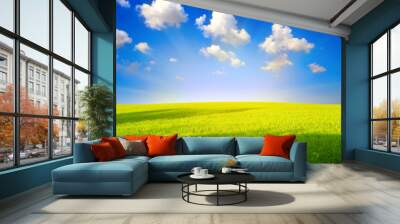 green grass and blue sky Wall mural