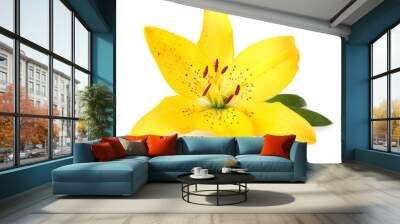 lily flower isolated on whit Wall mural