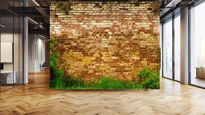 Old brick wall background with green grass.  Wall mural