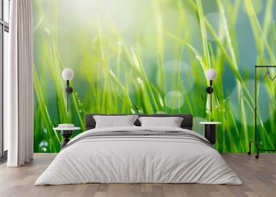 soft blur green grass background Wall mural