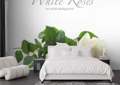 three white roses isolated on white Wall mural