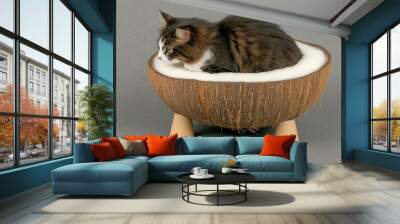 A curious cat sits comfortably in a unique oval-shaped coconut bed featuring a wooden exterior and interior. The modern design adds charm to the cozy indoor space Wall mural