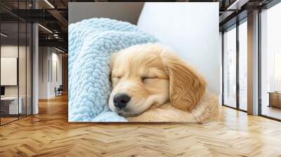 A sweet brown Labrador puppy rests peacefully on a blue blanket in the inviting interior of a travel trailer during summer Wall mural