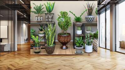 Potted ferns, succulents, and greens rest on a wooden shelf and table against a white wall, with a hardwood floor Wall mural