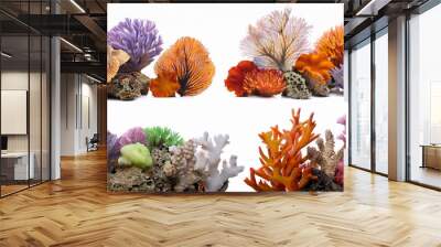 removed coral reefs in a set Wall mural