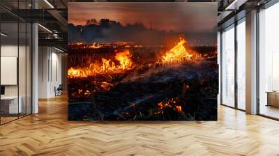 Dry corn stubble burning in a field at sunset Wall mural