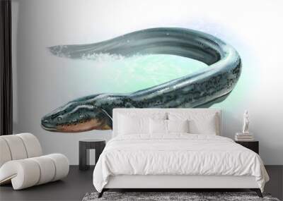 Electrophorus electricus Wall mural