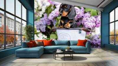 portrait of a beautiful puppy breed of dachshund Wall mural