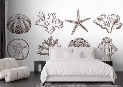 Hand drawn collection of sea shells and corals. Vintage style  illustrations Wall mural