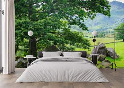 Lake District National Park, England landscape, mountains on the background, selective focus Wall mural