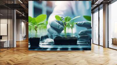 A close-up of a scientist conducting plant research to develop a new food product, medicines, dietary supplements, cosmetics in a research laboratory. Pharmaceuticals, Biotechnology, Botany concepts. Wall mural