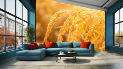 A field of golden rice with a bright sun shining on it Wall mural