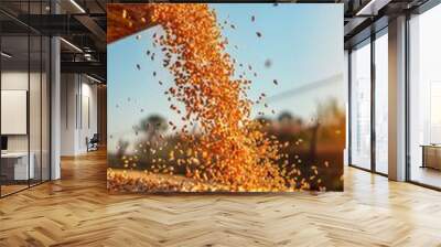 A large pile of corn is being poured out of a silo Wall mural