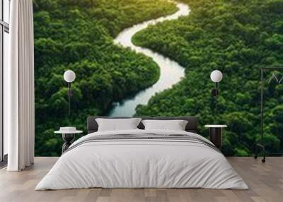 A river runs through a lush green forest Wall mural