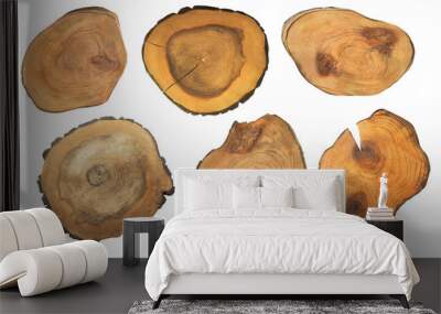 Set of cut tree trunks isolated on white. Rough stump shapes Wall mural