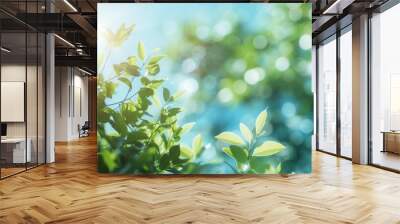 A fresh spring blue sunny sky background with blurred warm sunny glow. Wall mural