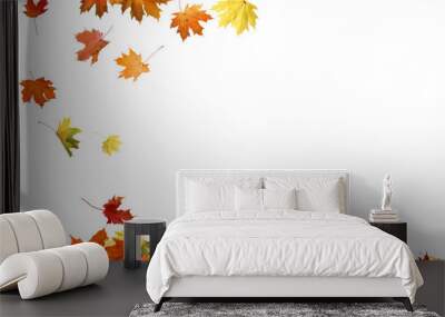 Autumn falling maple leaves isolated on white background Wall mural